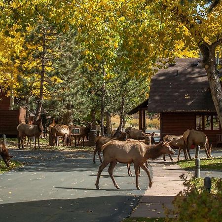 Rams Horn Village Resort Естес Парк Екстериор снимка