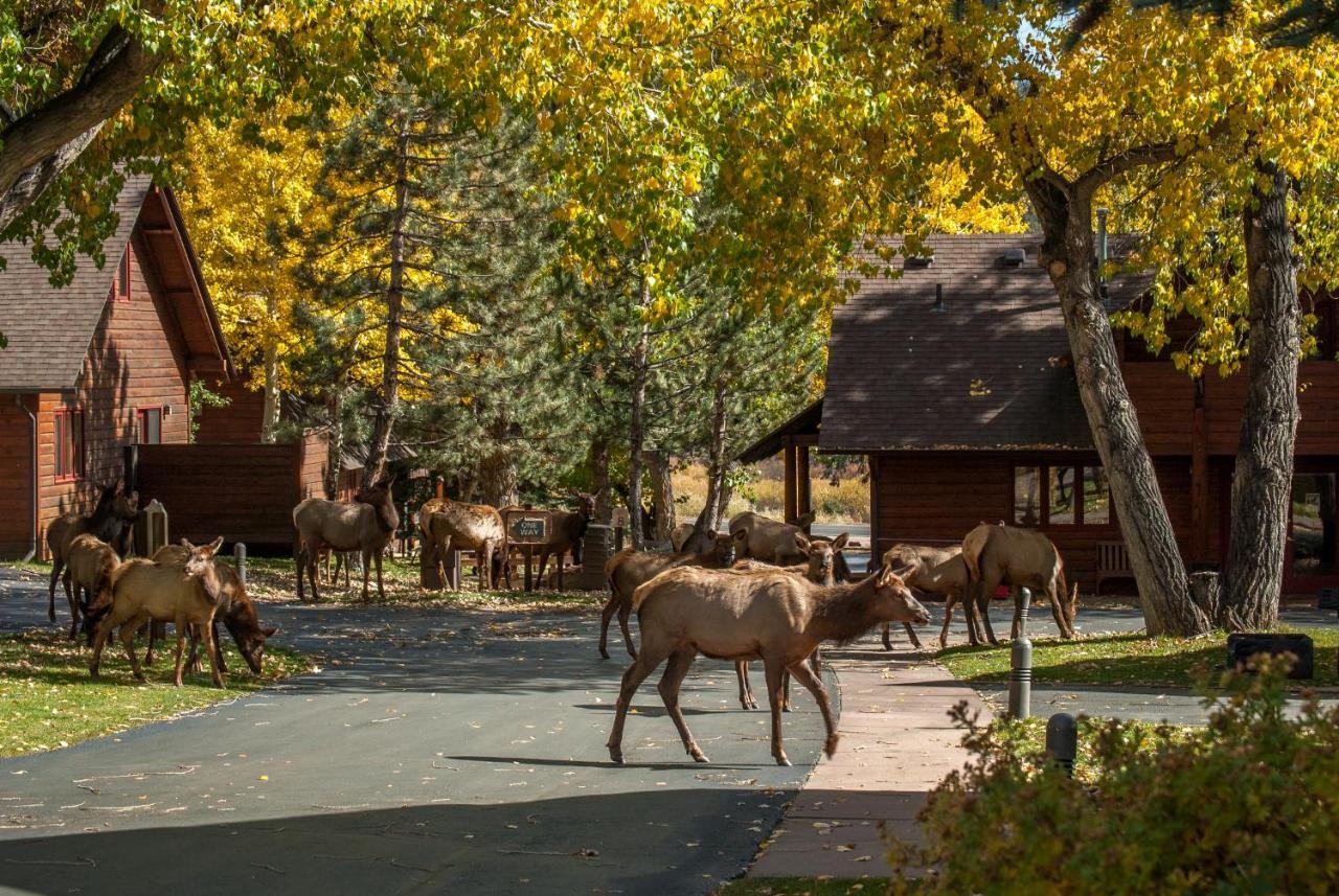 Rams Horn Village Resort Естес Парк Екстериор снимка